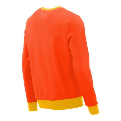 Pullover mit V-Ausschnitt_fairtrade_orange_BCOJ8U_rueck